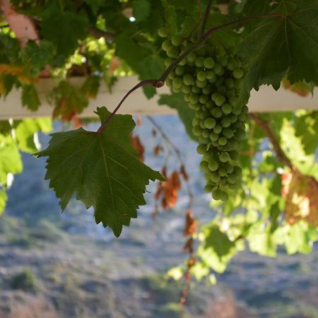 Отель Koukos Agia Theodoti Экстерьер фото